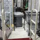 عربات فندق عدد 4