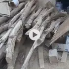 مراكيز اثل للبيع سمح