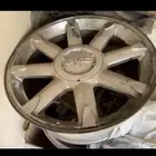 جنوط دينالي جمس