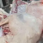 خرفان حريه ذبايح جميع المقاسات