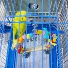 زوج بادجي متوالفين