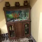 حوض سمك