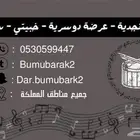 فرقة شعبية