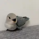 فرخ روز هدد اليف