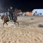 تدريب على ركوب الخيل (جمعنا لكم بين الخبرة والعلم)