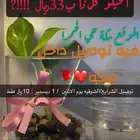 فايتر سمكتين ب15
