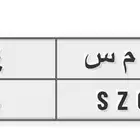 لوحة ثنائية مميزة ( ق م س - 4 6 )