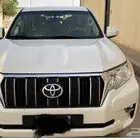 برادو 2022