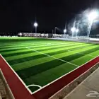 عشب ملاعب ثيل ملاعب