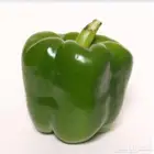 بذور الفلفل الحلو