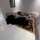 مراتب نظيفه