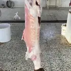 توفير ذبايح مع خدمه الذبح و التوصيل