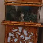 للبيع حوض سمك جديد