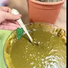 حنا بالأعشاب الهنديه