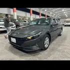 النوع   هيواندي النترا 2023