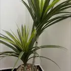 شجر صناعي