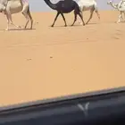 حقه مجهم