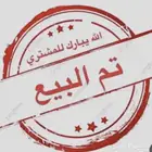 فرخ ببغاء كويكر لاتينو غر (( تم البيع ))