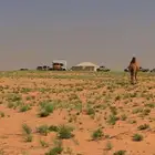 مطلوب ارض زراعيه او مزرعه مساحتها كبيره