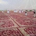 تاجير دفايات تاجير خيام تاجير كراسي الرياض حي الملقا مخرج 4