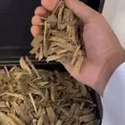 عود طبيعي كلمنتان مالينو فاخر