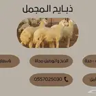 ذبايح