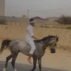 مهر شعبي كفو