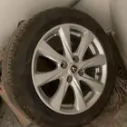 جنوط شانجان 2025 جديده