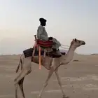 ركبي سوداني