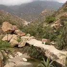 توصيل مشاوير رسايل اغراض اي شي اي مكان