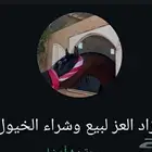 جروب وتساب مزاد لبيع الخيول اللي يبغى يخش المزاد حياه الله