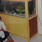 حوض سمك كبير