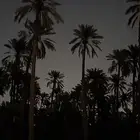 ابي وظيفه حت لو عمله. عماره اغسل العمره