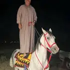 حصان شعبي للبيع