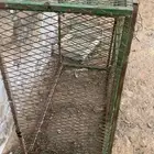 شبك دجاج و حمام