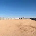 حوش فيه استراحه للإيجار ببيشة