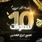 بور بوينت تصميم وعمل بحوث ومشاريع تخرج جامعية وتغيير صيغة