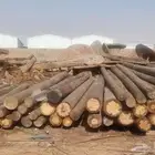 اعمده كهرب