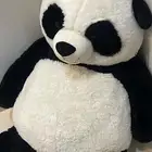 دبدوب للبيع