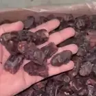 تمر خضري 100 طن في الثلاجه حق العام