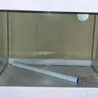 مستلزمات احواض اسماك
