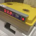 للبيع فقاسة عون المربي