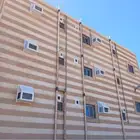 طارد الحمام