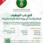 خدمات وظائف