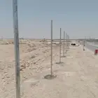نخيل وشبوك
