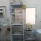 اقفاص طيور