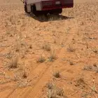 دن ه ونش نقل الابل