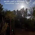 استراحة ص ي د