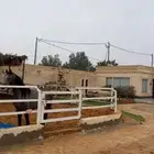 مربط المميز للايواء