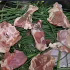 حي النور